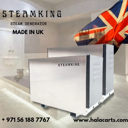 British Design 9kw Steam King Steam Bath Generator for Home Shower and Spa Room, Digital Screen Steam Generator with LED Control and Self-Drain System for Home and Commercial Use