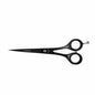 Cedar Black Stainless Steel Scissor 1046B 6''