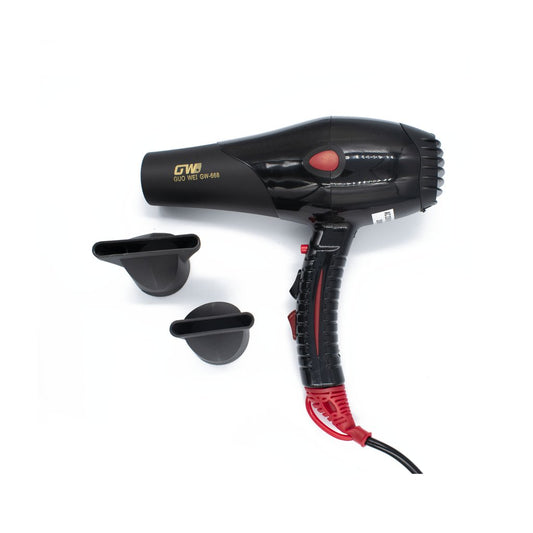 GWD Professional Hair Dryer