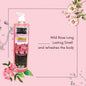 OZMA Shower Gel and Body Wash For Effective Germ Protection & Personal Hygiene (Protects Against 100 Illness Causing Germs),Wild Rose Fragrance 1100  ML