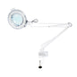GlobalStar Magnifying Cosmetic Lamp Table with Neon Lighting M-2021T